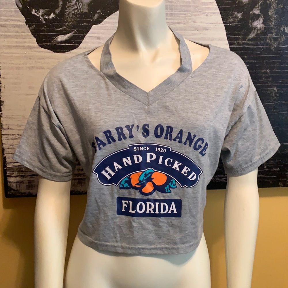 EUC Women’s Crop top w/oranges SZ-S